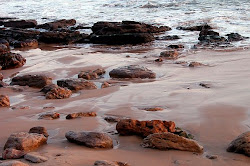sand beach wet water rocks class painting secor deborah today