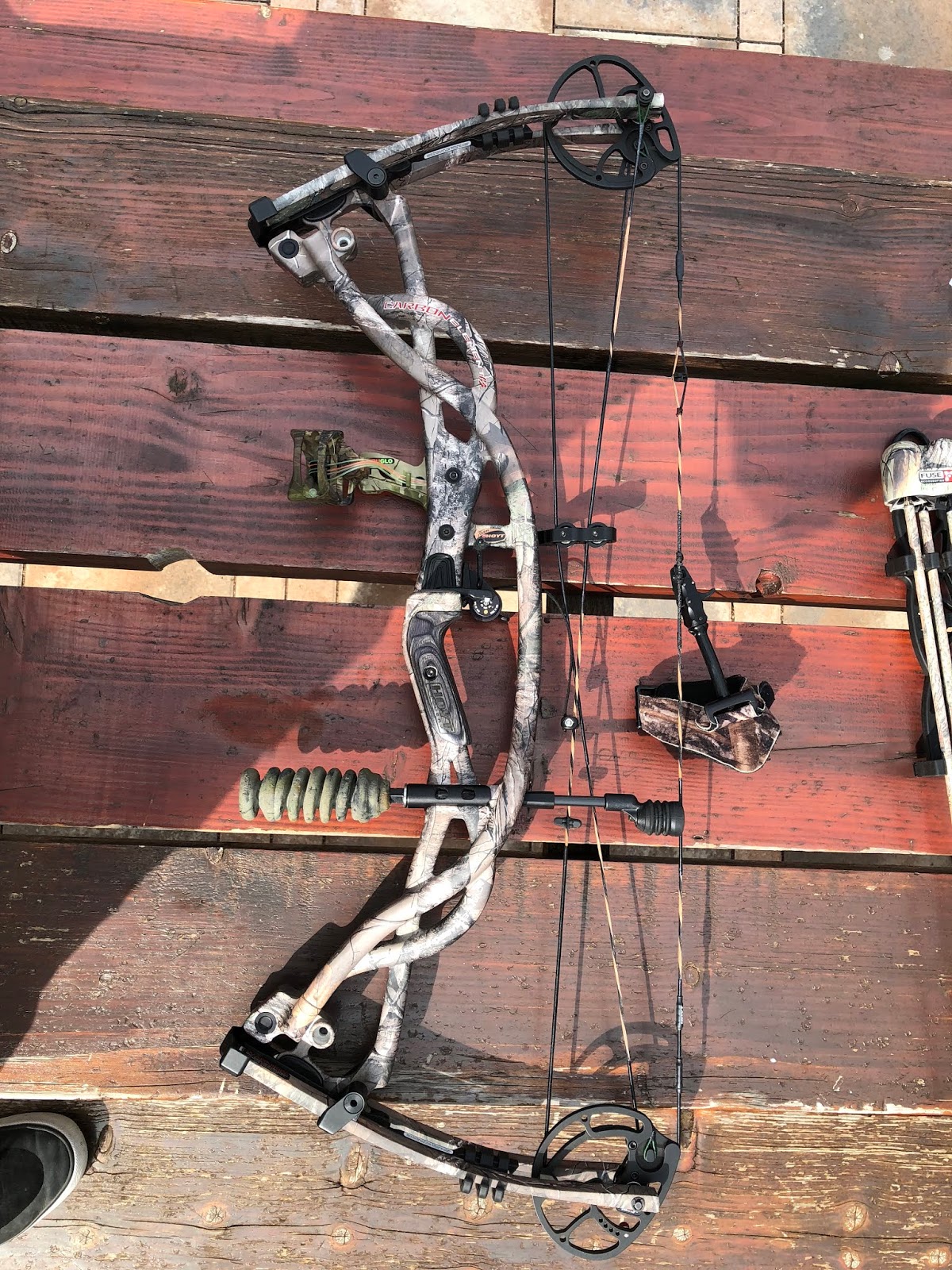 hoyt carbon element g3
