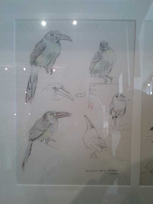 Raymond Sheppard Exhibition review