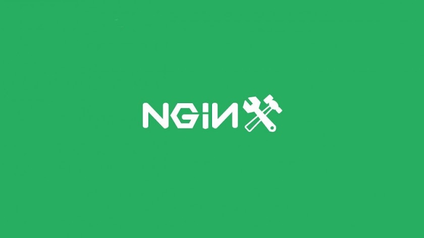 Nginx start. Nginx. Access логи nginx. Nginx/1.18.0. Nginx Wallpaper.
