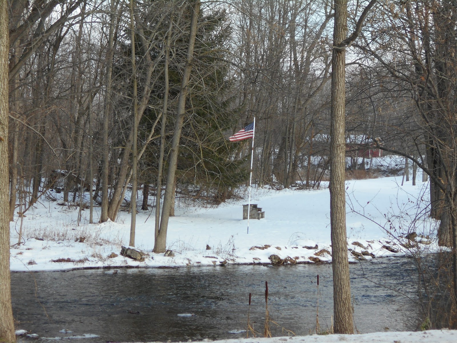 New York State of Mind WINTER STREAM SHORTSVILLE, NY