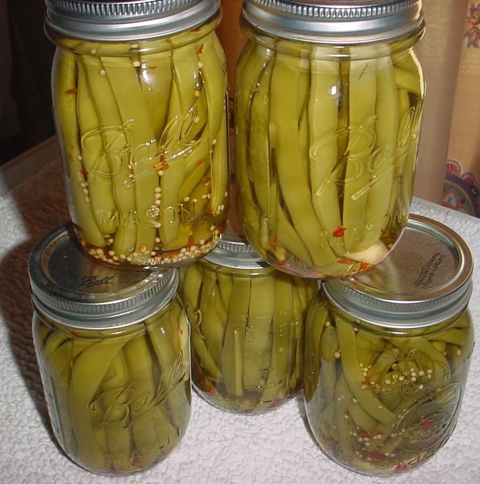 Pickled Dilly Beans