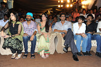 Three Audio Launch Gallery [Andhrula Music]