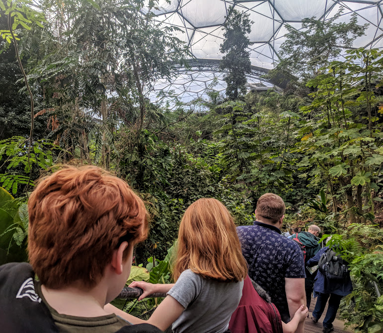 10 Reasons to Visit the Eden Project in Winter  -