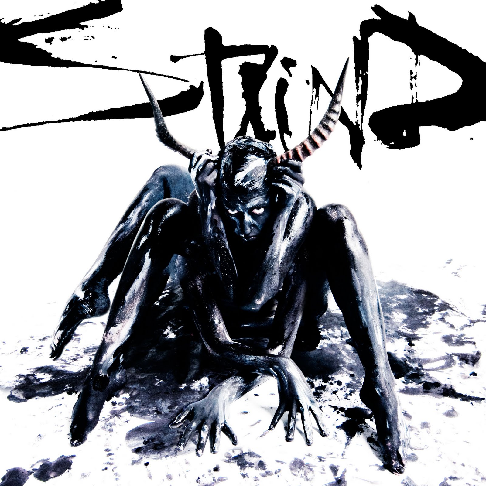 Staind Net Worth