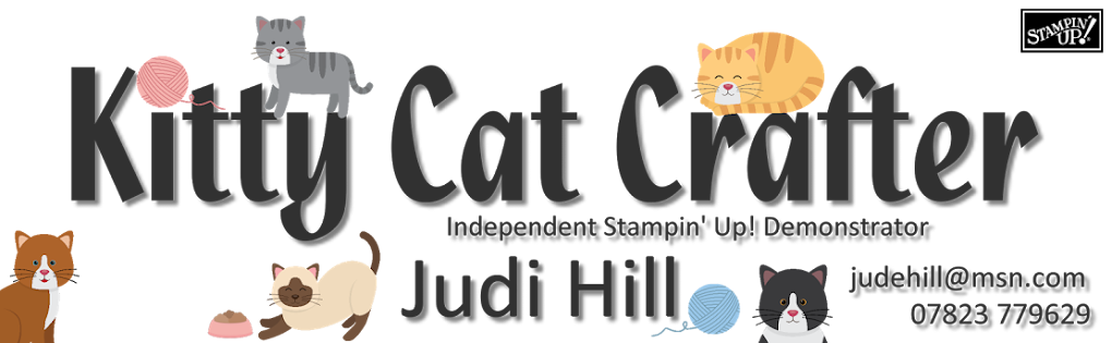Kitty Cat Crafter Independent Stampin Up Demonstrator