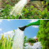 Smart watering tips for Summer