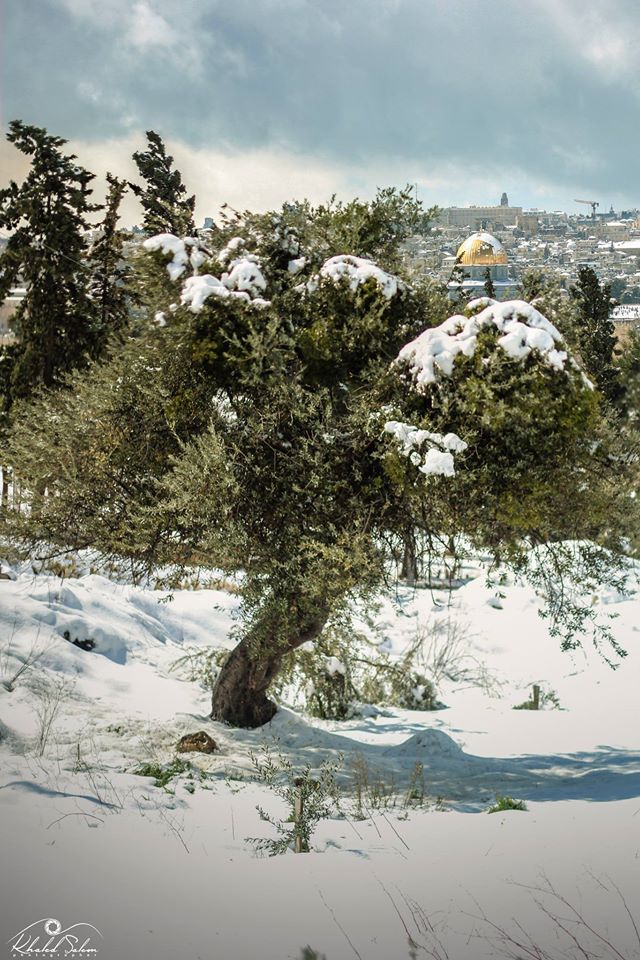Photos of Jerusalem Jerusalem in Snow