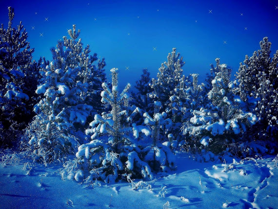Merry Christmas download besplatne pozadine za desktop 1280x960 slike ecards čestitke Sretan Božić