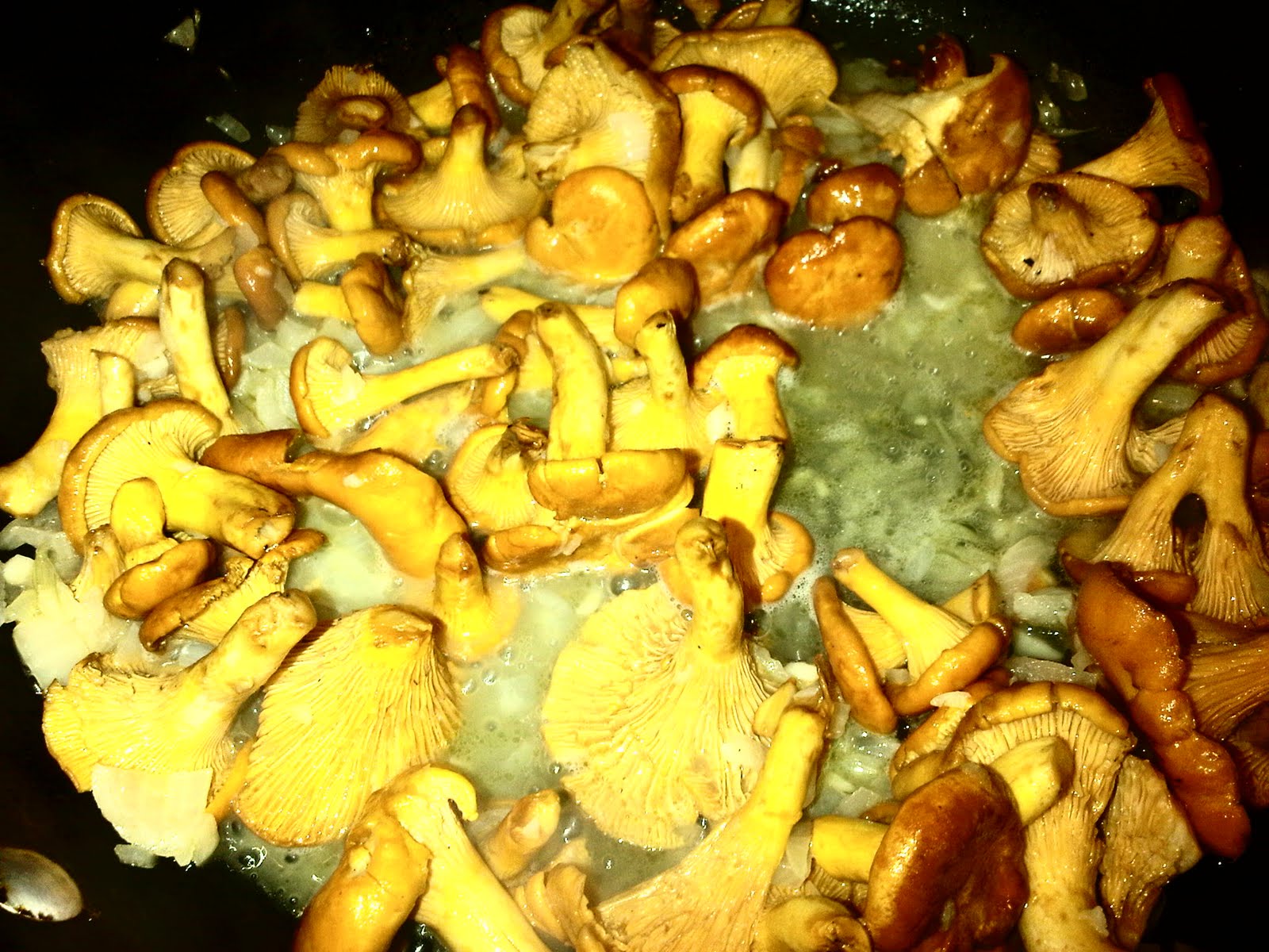 Always Passionate About Food! My Golden TreasuresChanterelles