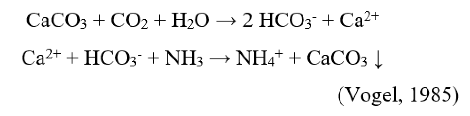 Ca hco3 2 mg no3 2. Caco3 co2 h2o CA hco3 2. ��𝒂(𝑯𝑪𝑶𝟑)𝟐 = 𝑪𝒂𝑪𝑶3 + 𝑪𝑶𝟐 + 𝑯𝟐𝑶. Caco3 co2 h2o ионное. Co2 CA hco3 2 caco3.