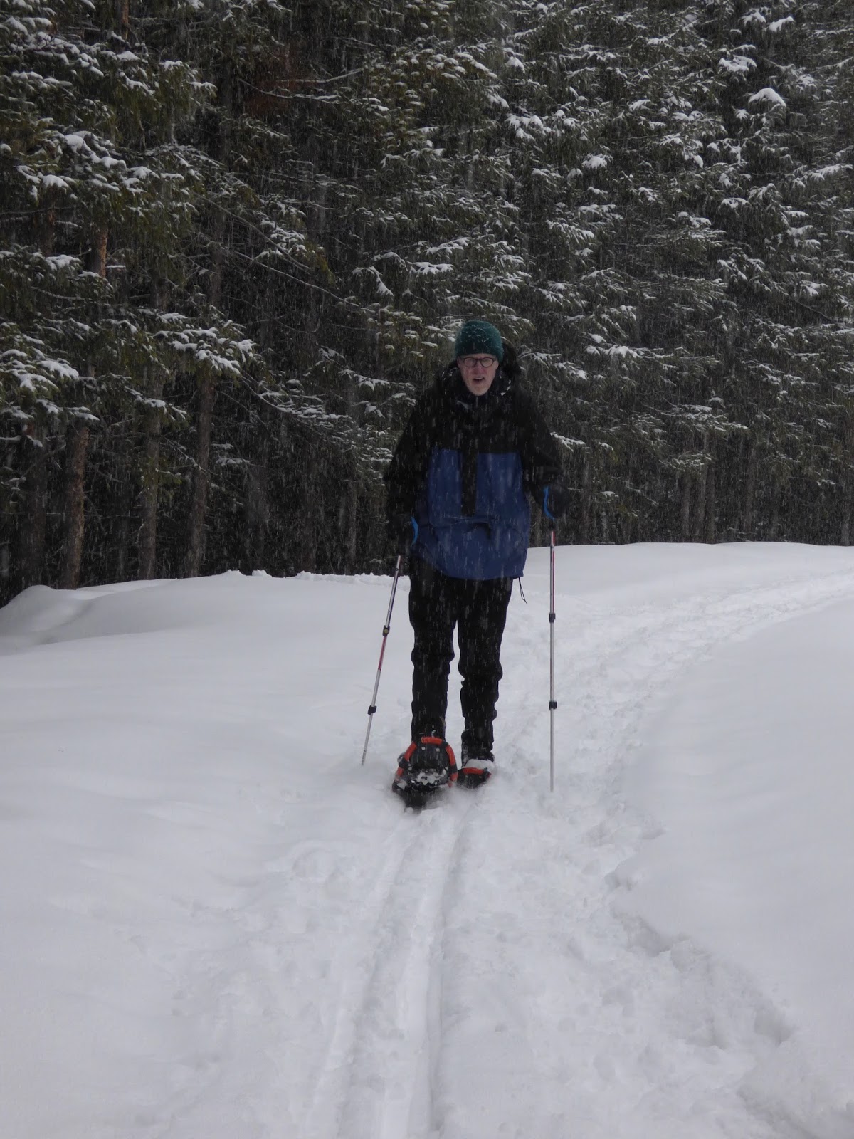 Half and Half Adventures Fraser Experimental Forest Crosscountry