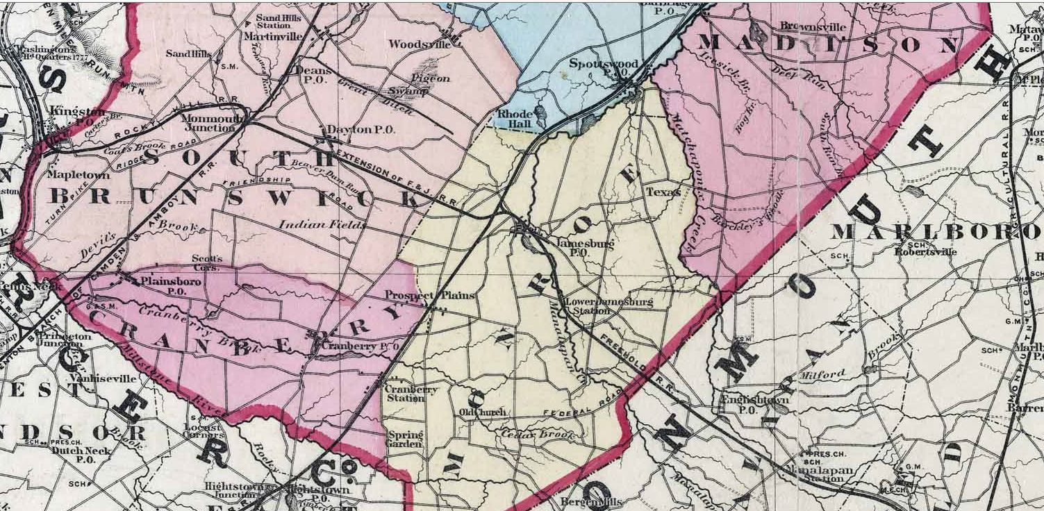 Tangled Trees Jamesburg, Middlesex Co., NJ, c.1872