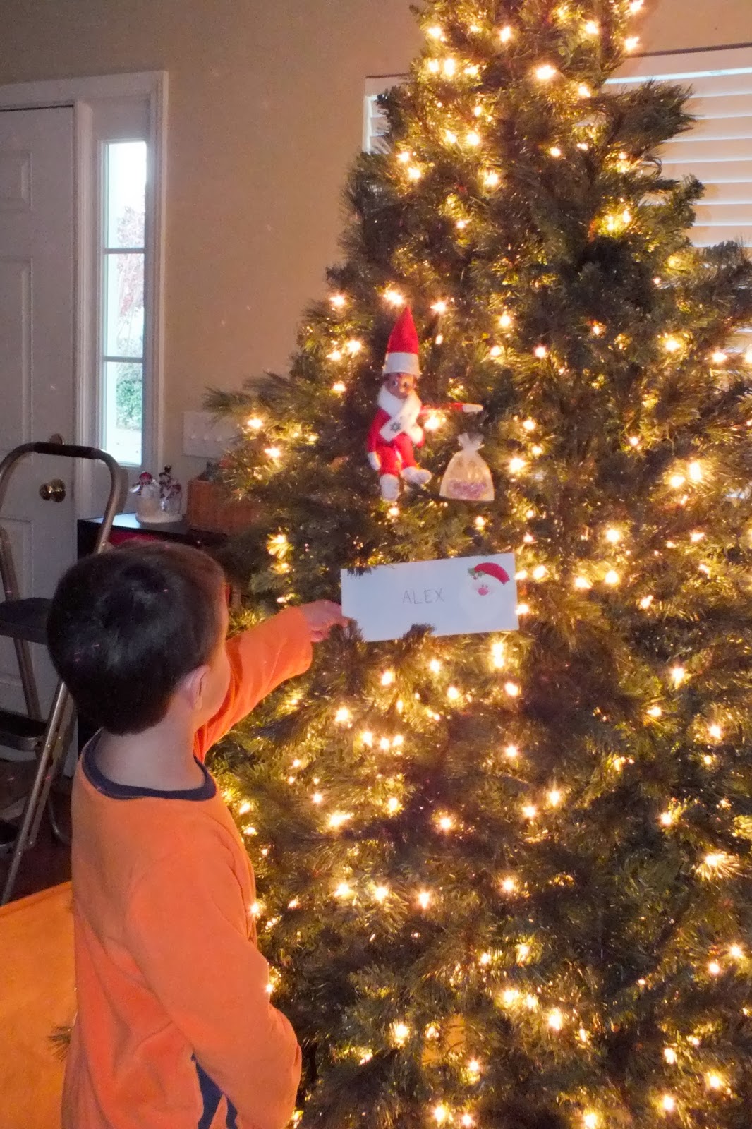 Mr. Jingles' Adventures Magic Elf Seeds Part 2