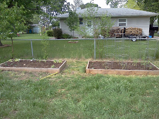 JenMarie80: Flower Beds Finished!
