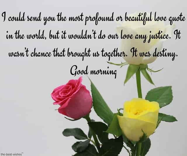 good-morning-message-for-him-with-colorful-roses good morning message for him with colorful roses