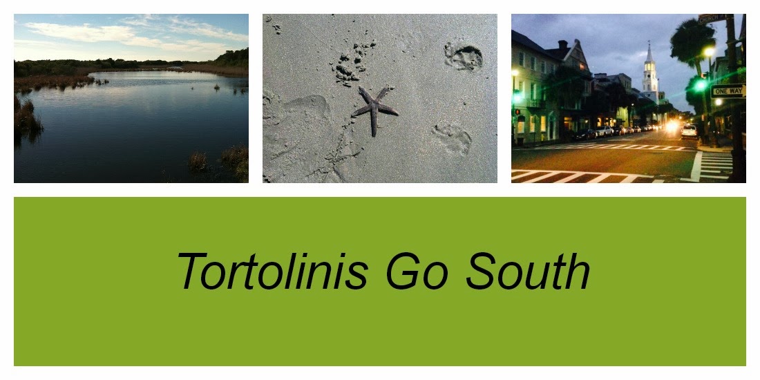 tortolinis go south