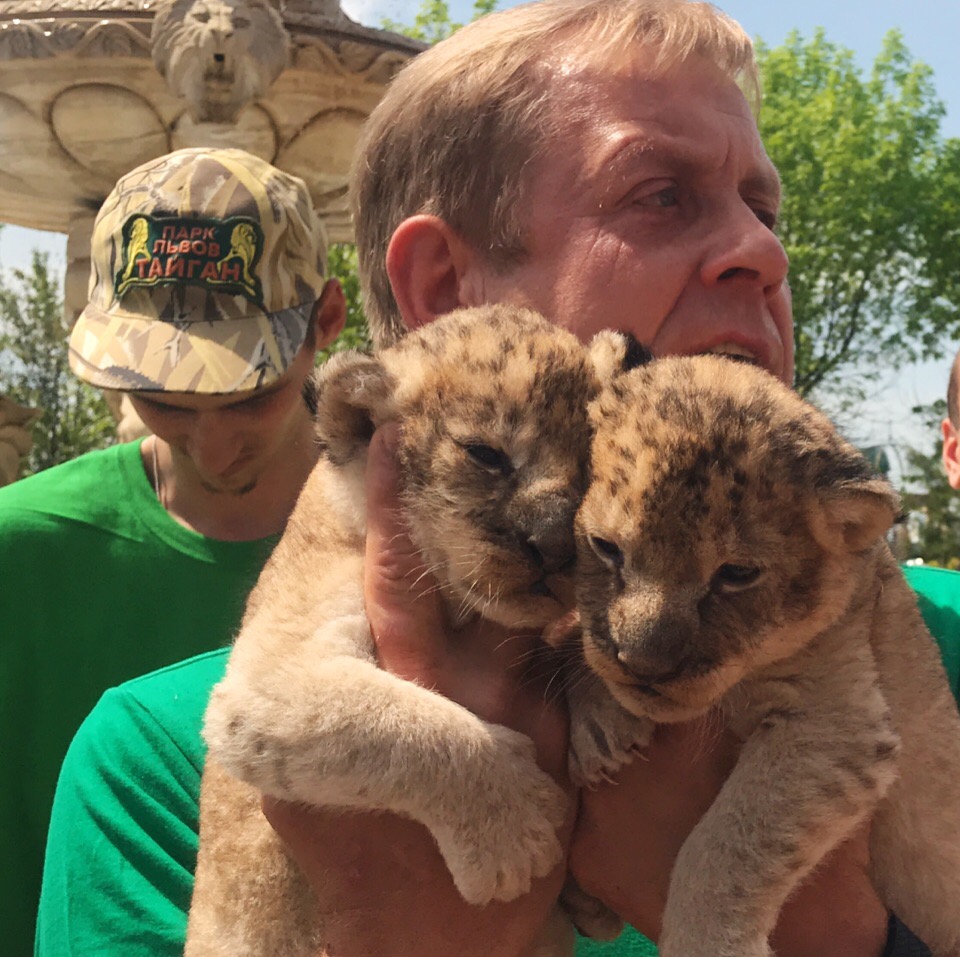 Львенок из. Львенок и черепаха книжка для ребенка. Львенок как зовут. Король лев симба львенок. Львенок.