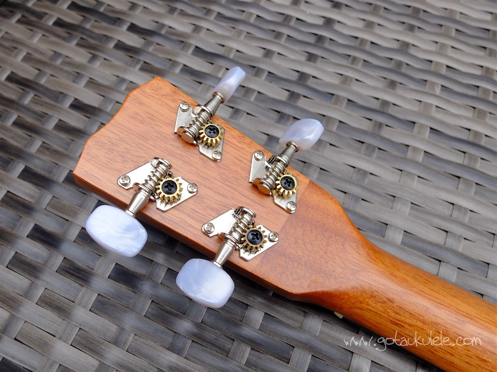 Cordoba 20TMCE Tenor Ukulele REVIEW