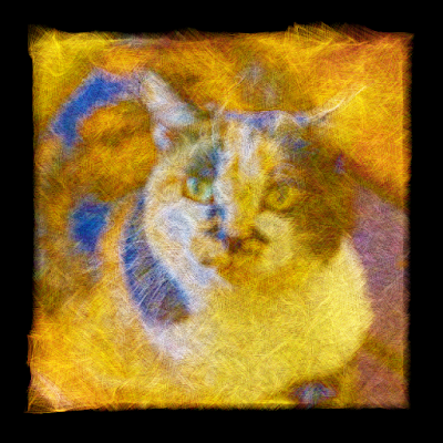 RustiCat makes a photo into the painting that drew with thin lines.