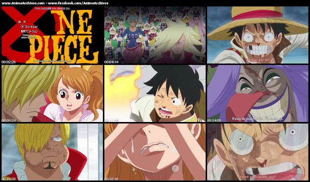 One Piece 810