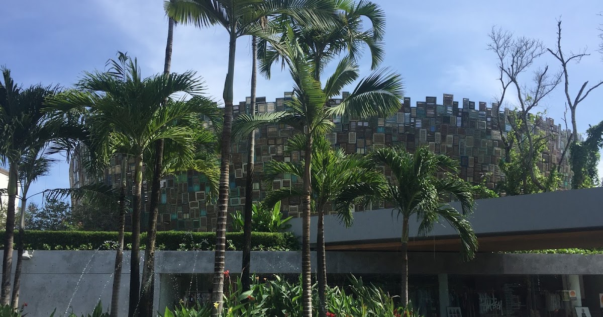Beach Club Reviews Hamilton Island Beach Club Reviews Hamilton Island