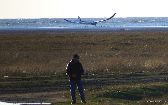 glider