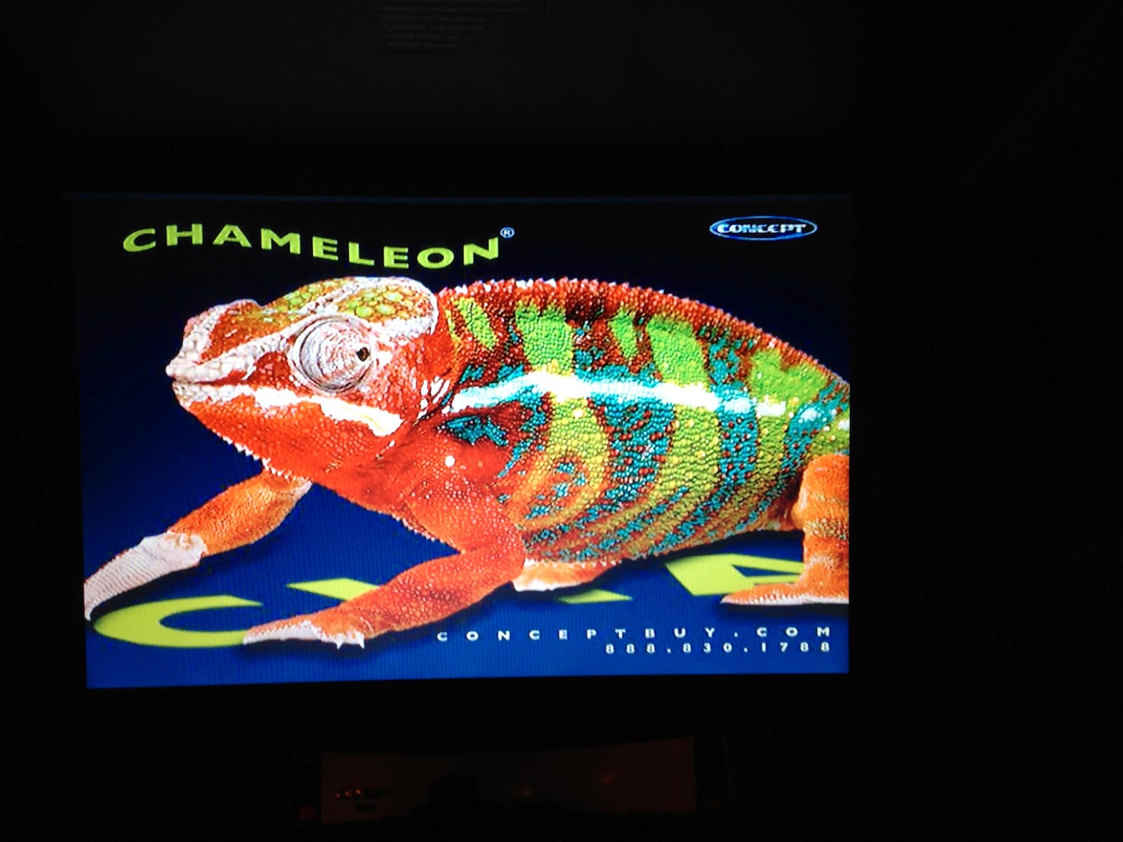 CFD-135 start-up screen, so you don't ever forget the name of this monitor