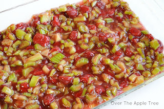 Strawberry Rhubarb Dump Cake, Over The Apple Tree