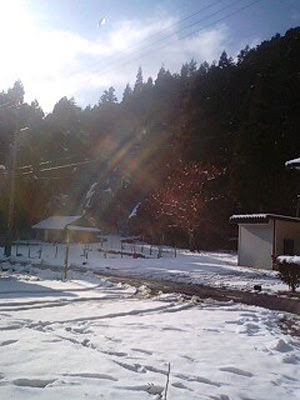 雪上陽景
