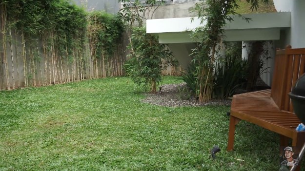 taman rumah minimalis Raditya Dika taman rumah minimalis Raditya Dika