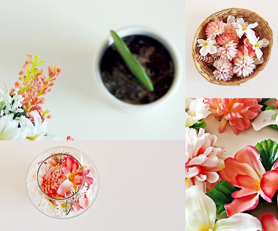 damos la bienvenida a la primavera