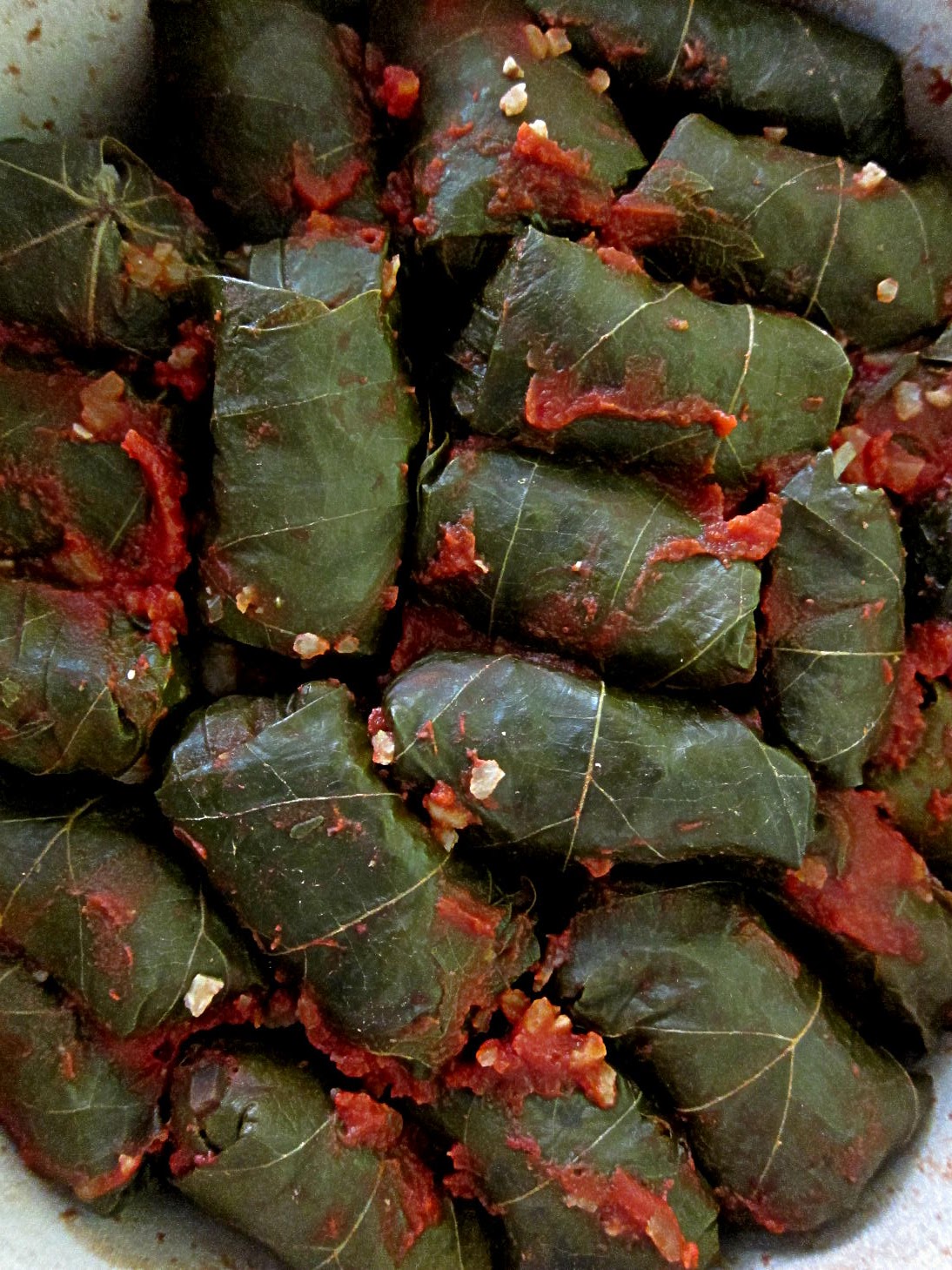 Wanderlust Queen Stuffed vine leaves with rice and olives