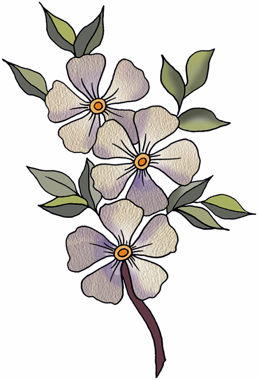 clipart delicate flowers - photo #31