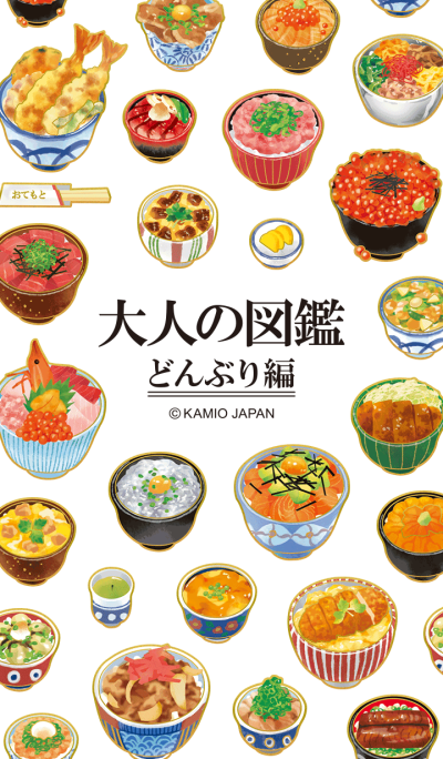 japanese illustrated guide -Donburi-