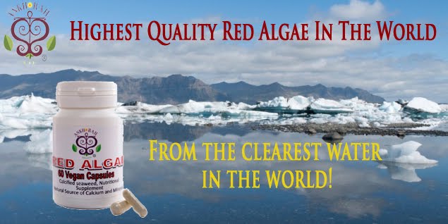 Red Algae