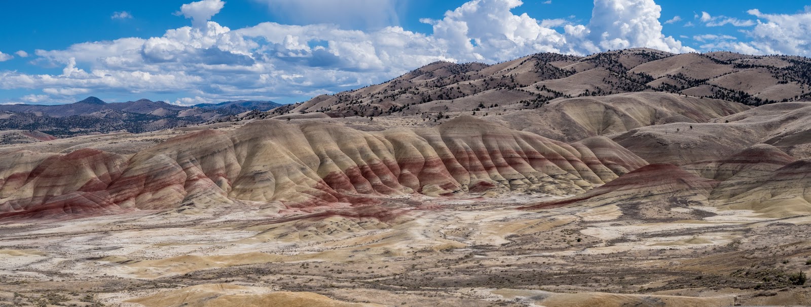 Eric's Hikes John Day Fossil Beds National Monument
