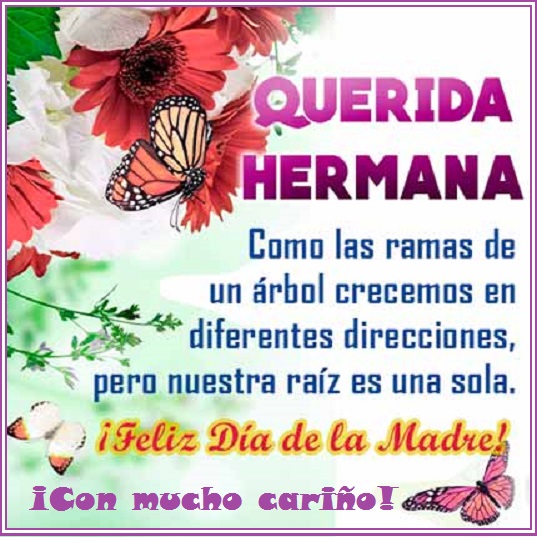 Feliz Dia De Las Madres Hermana Imagen