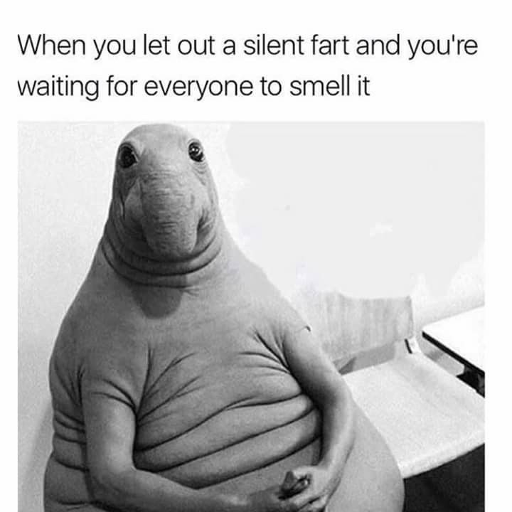 Funny Bathroom Memes That Will Blow Your Mind (46 Pics) 9GIG