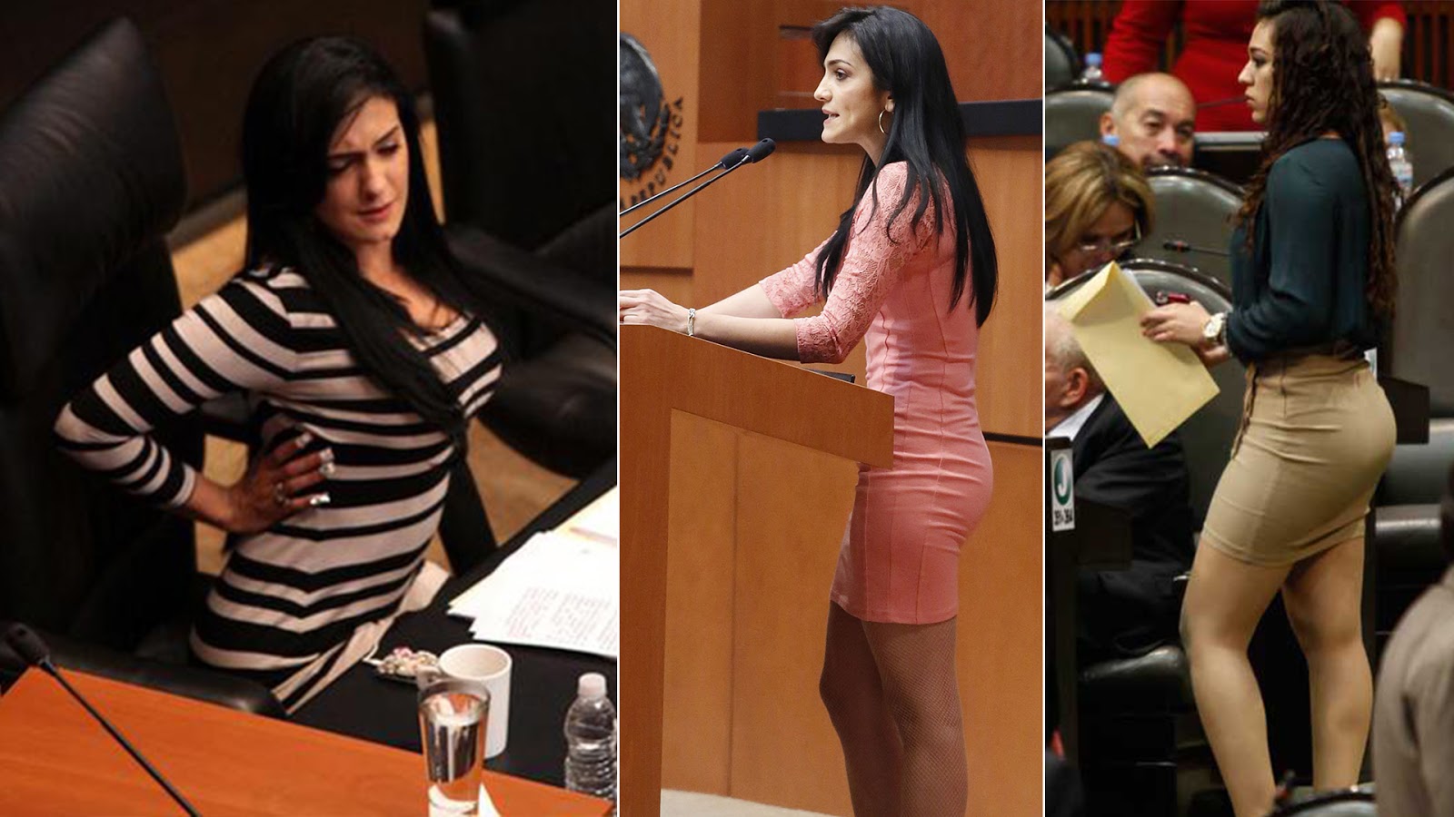 Exigen evaluar a mujeres del Senado, para que ocupen puestos por inteligencia y no por su Exigen evaluar a mujeres del Senado, para que ocupen puestos por inteligencia y no por su