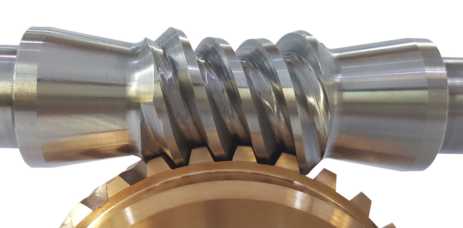 SDG Double enveloping worm gear