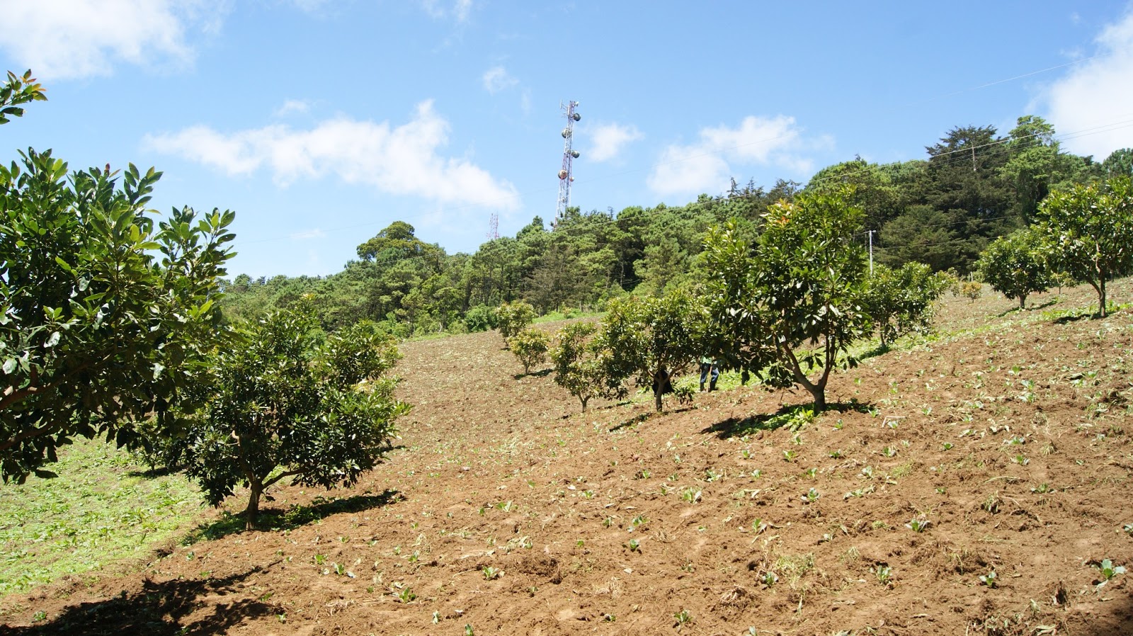 Venta de Terrenos en Miramundo Chalatenango El Salvador Venta Terrenos
