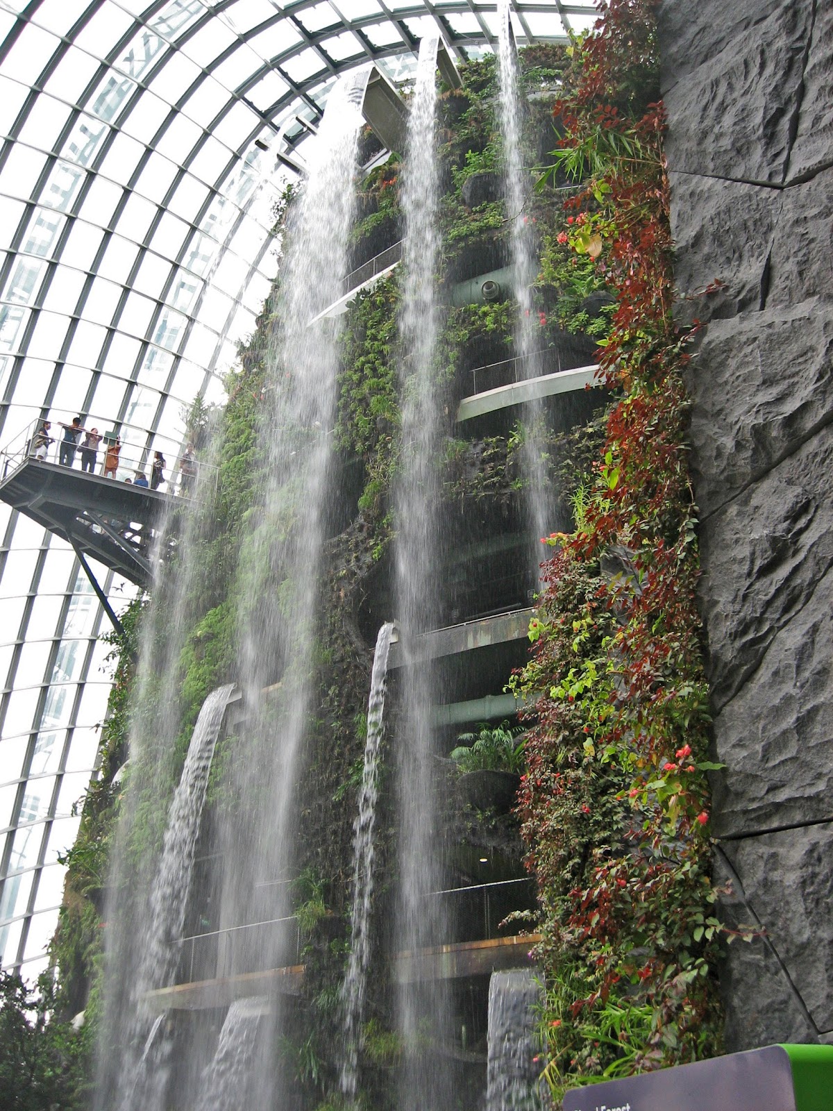 Jax Stumpes: Singapore Gardens by the Bay (9/9/2012)