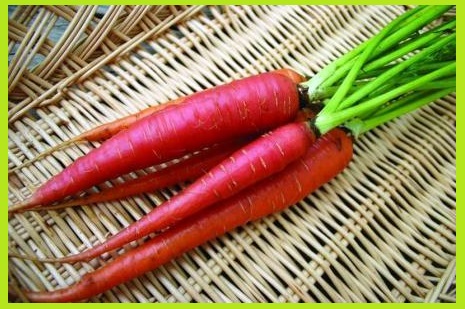 घर पर करे गाजर को प्रीजर्व (स्टोर) - Preserved Carrots Recipe