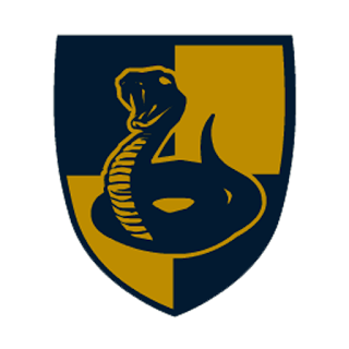logo dream league soccer kobra