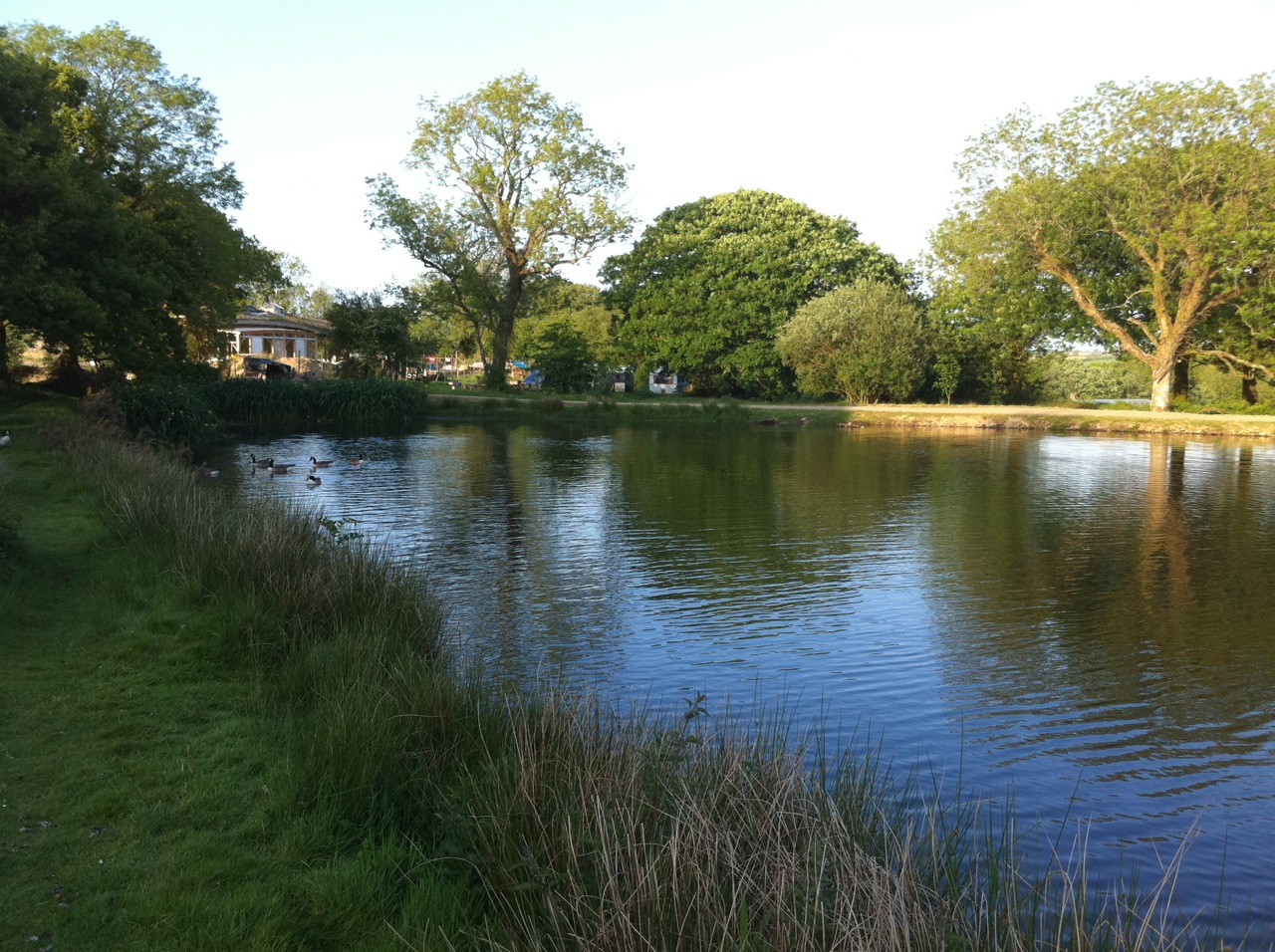 A Maker's Farm Lammas Project Wales