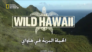 الوثائقي الرائع الحياة البرية في هاواي.ارض الحرائق Wild Hawaii land of fire B121c6791e06.978x550