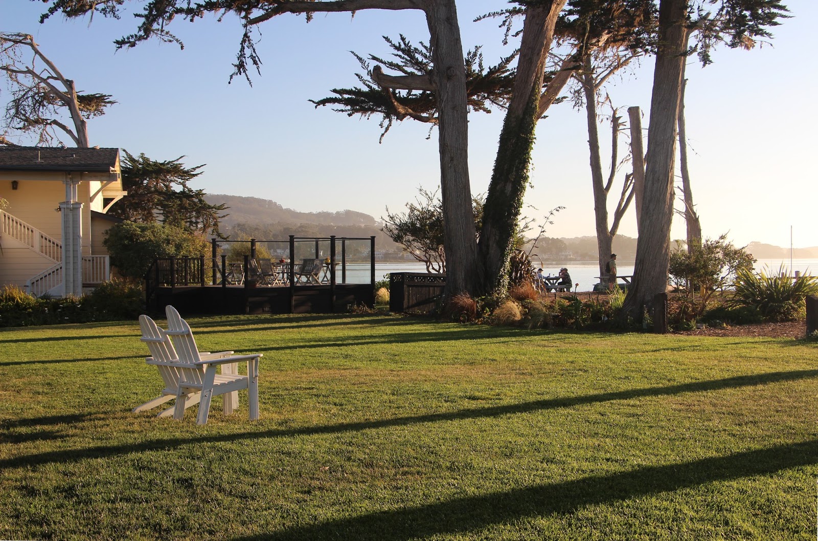 Back Bay Cafe Baywood Park Back Bay Cafe Baywood Park