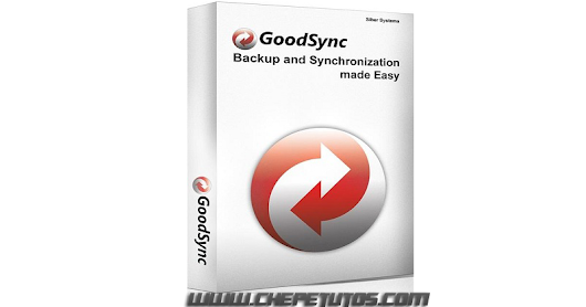 Goodsync Portable Goodsync Portable
