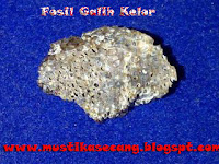 http://mustikasecang.blogspot.com/2013/01/galih-kelor.html